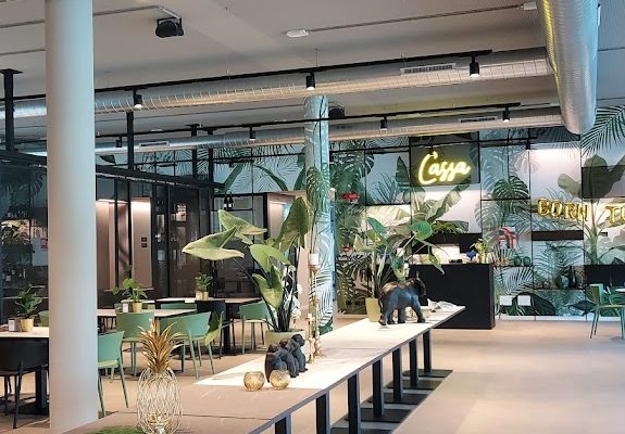 Farinami Garden Pool Party - festa di diciottesimo - info e preventivi 3518822818 Farinami Garden Pool Party - festa di diciottesimo - info e preventivi 3518822818