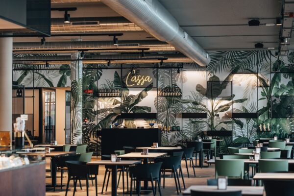 Farinami Garden Pool Party - festa di diciottesimo - info e preventivi 3518822818 Farinami Garden Pool Party - festa di diciottesimo - info e preventivi 3518822818