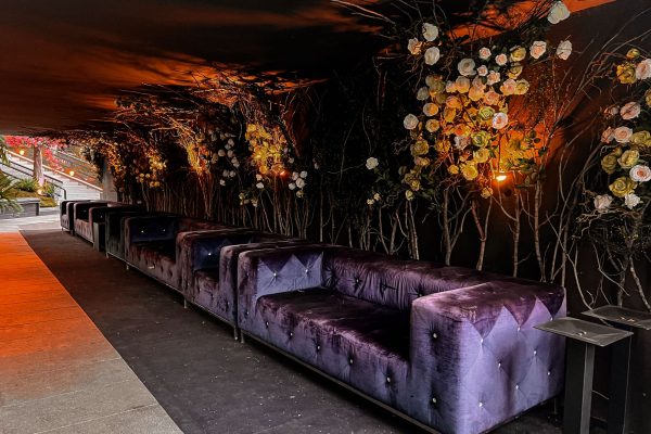 Pineta Milano - festa di diciottesimo - info e preventivi 3518822818 Pineta Milano - festa di diciottesimo - info e preventivi 3518822818