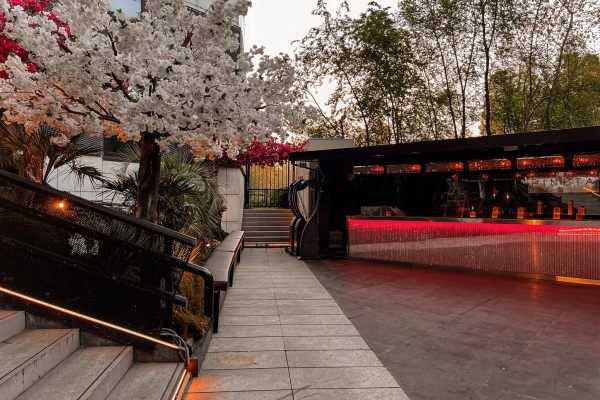 Pineta Milano - festa di diciottesimo - info e preventivi 3518822818 Pineta Milano - festa di diciottesimo - info e preventivi 3518822818